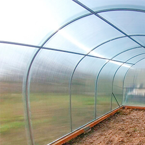 Теплиця з оцинкованої квадратної труби під полікарбонатом