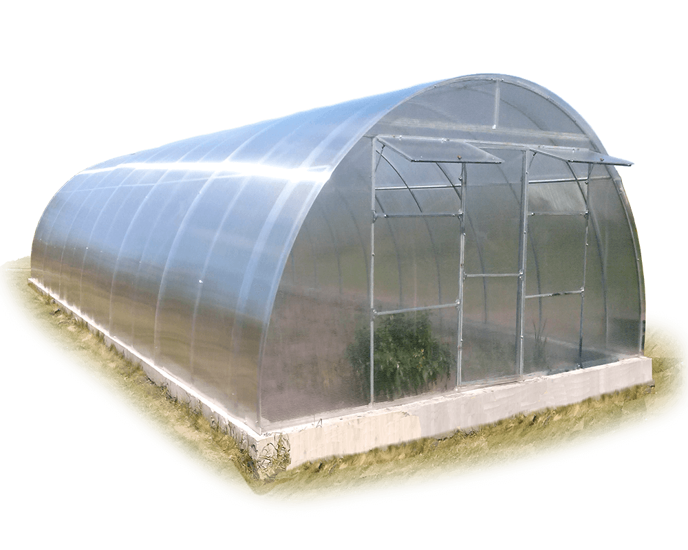 Фермерська теплиця Алмір під поікарбонатом