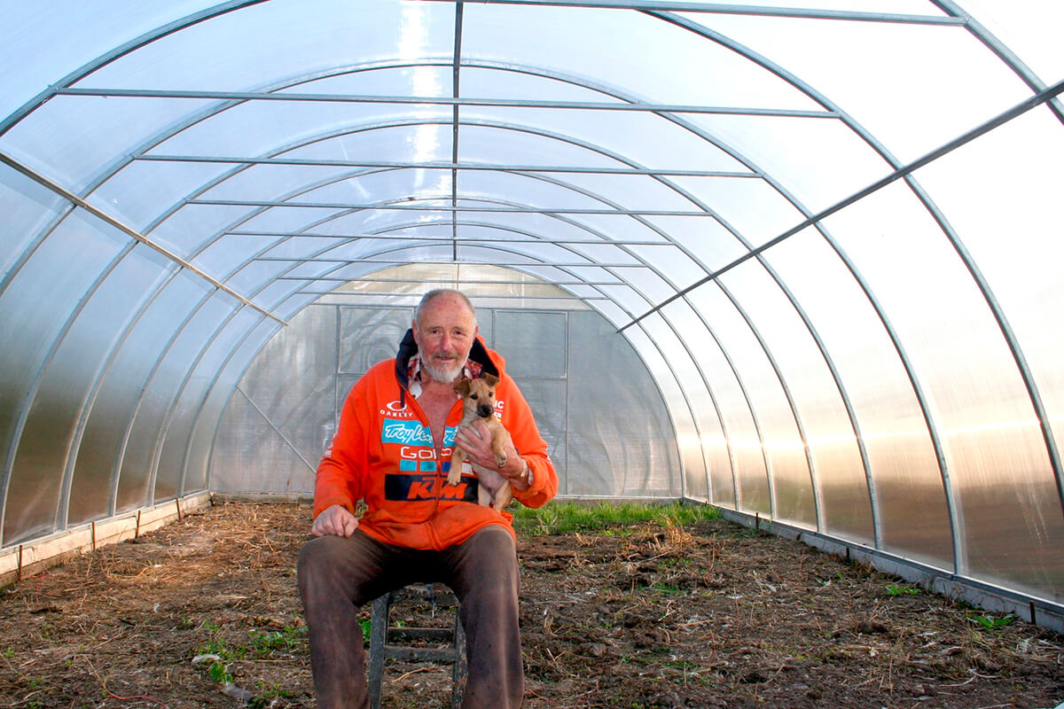 Фермерська теплиця Алмір під поікарбонатом