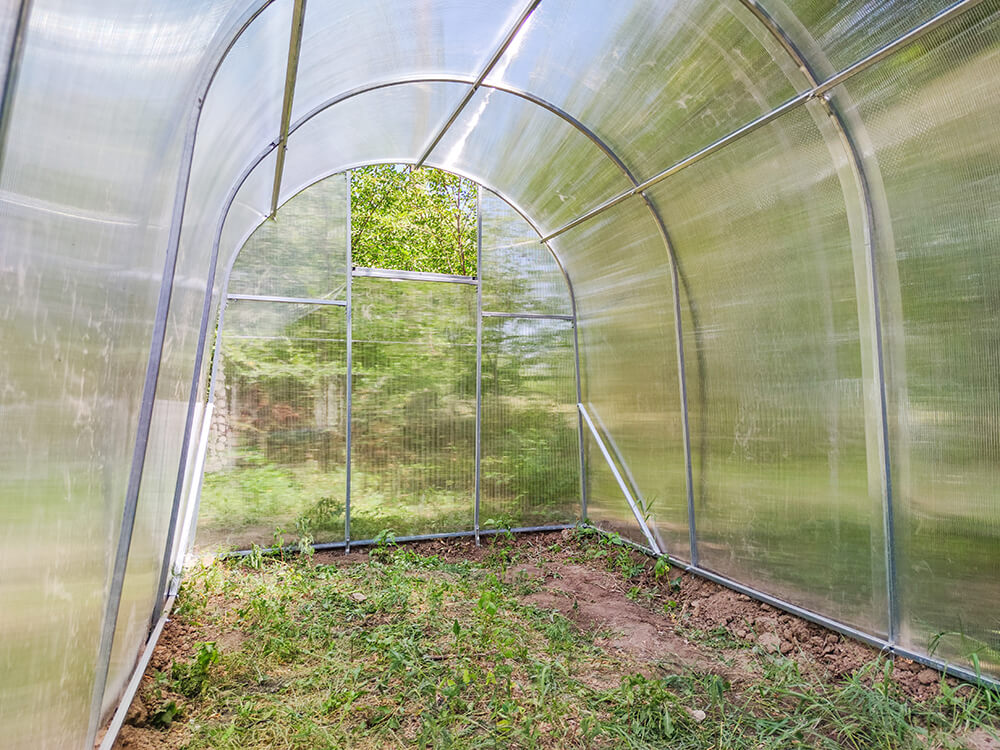 Теплиця з оцинкованої квадратної труби під полікарбонатом