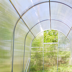 Теплиця з оцинкованої квадратної труби під полікарбонатом