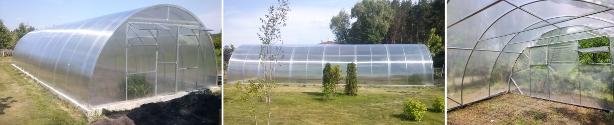 Фермерська теплиця Алмір під поікарбонатом