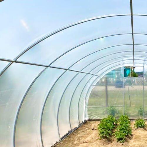 Теплиця Веган з оцинкованої квадратної труби під плівкою